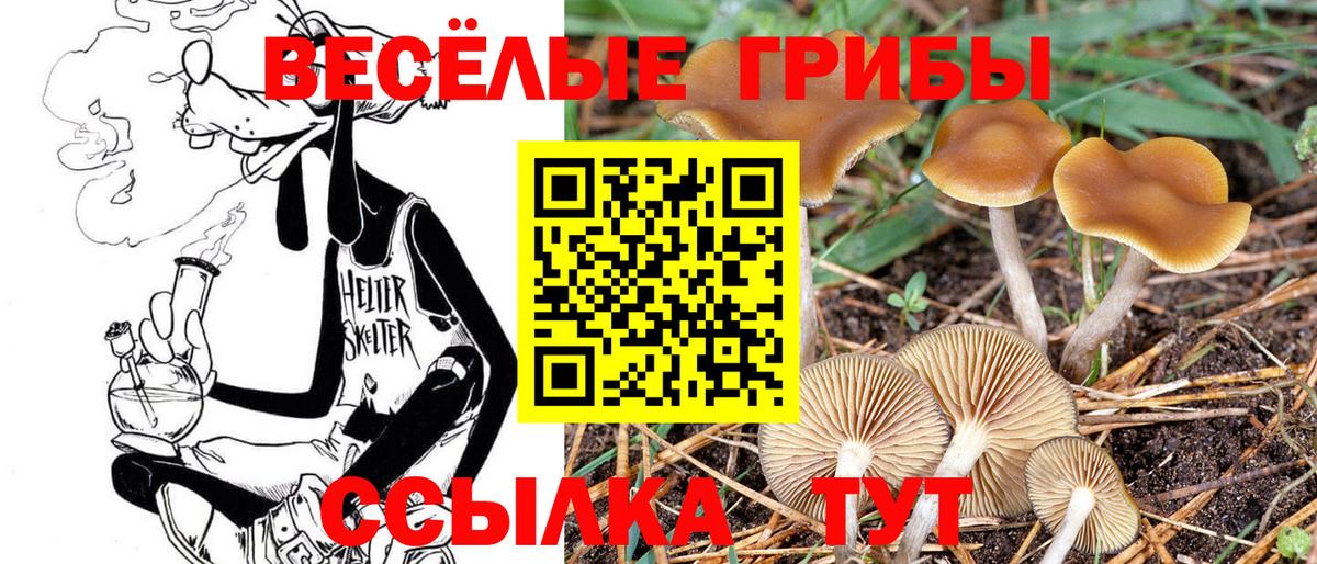 Псилоцибиновые грибы ЛСД  Псилоцибиновые грибы Psilocybine cubensis  Вход с VPN  Еманжелинск 